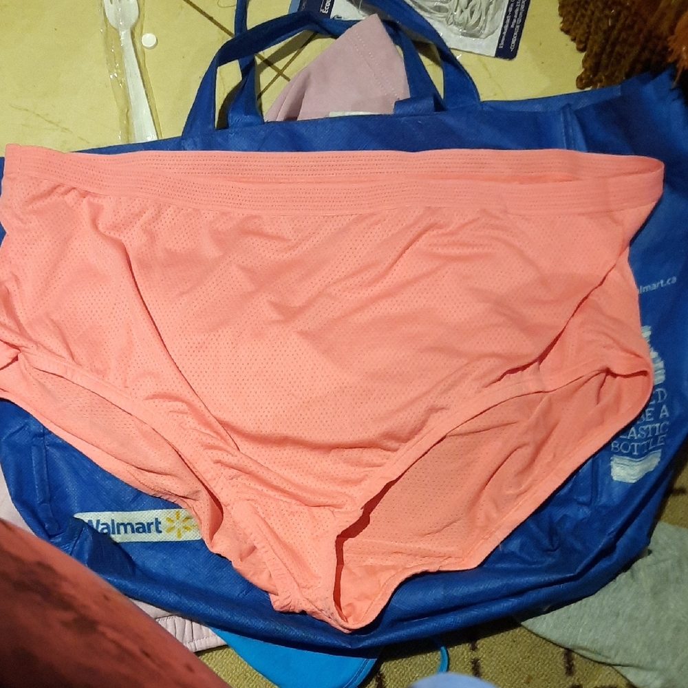 NWOT PLUS SIZE Fruit of the Loom Coral Panties Size 22-24 Underwear